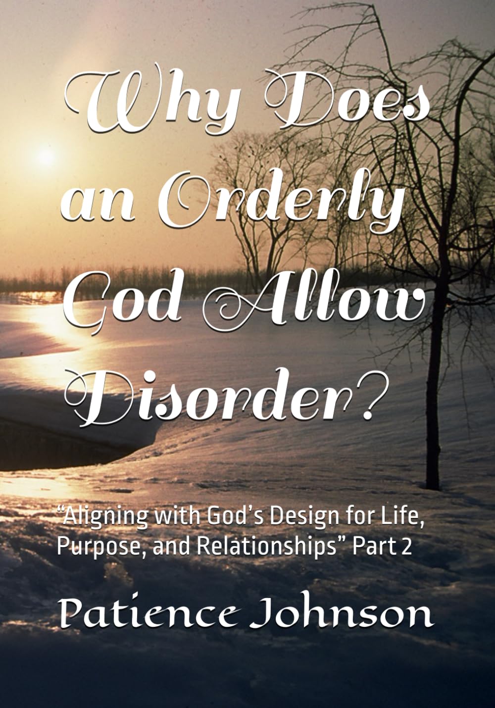 Why Does an Orderly God Allow Disorder? Paperback By Patience Johnson