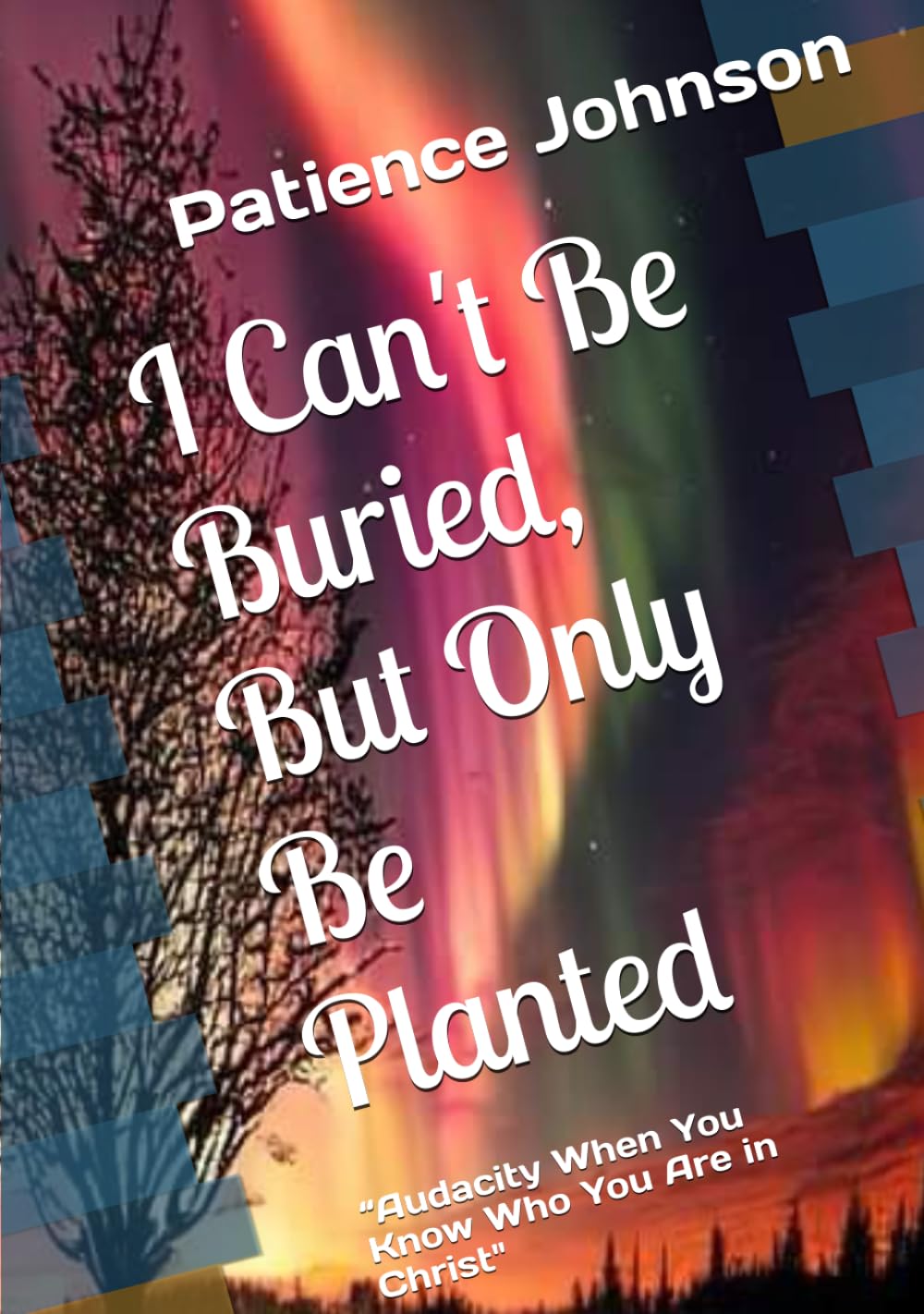 I Can't Be Buried, But Only Be Planted Hardcover By Patience Johnson
