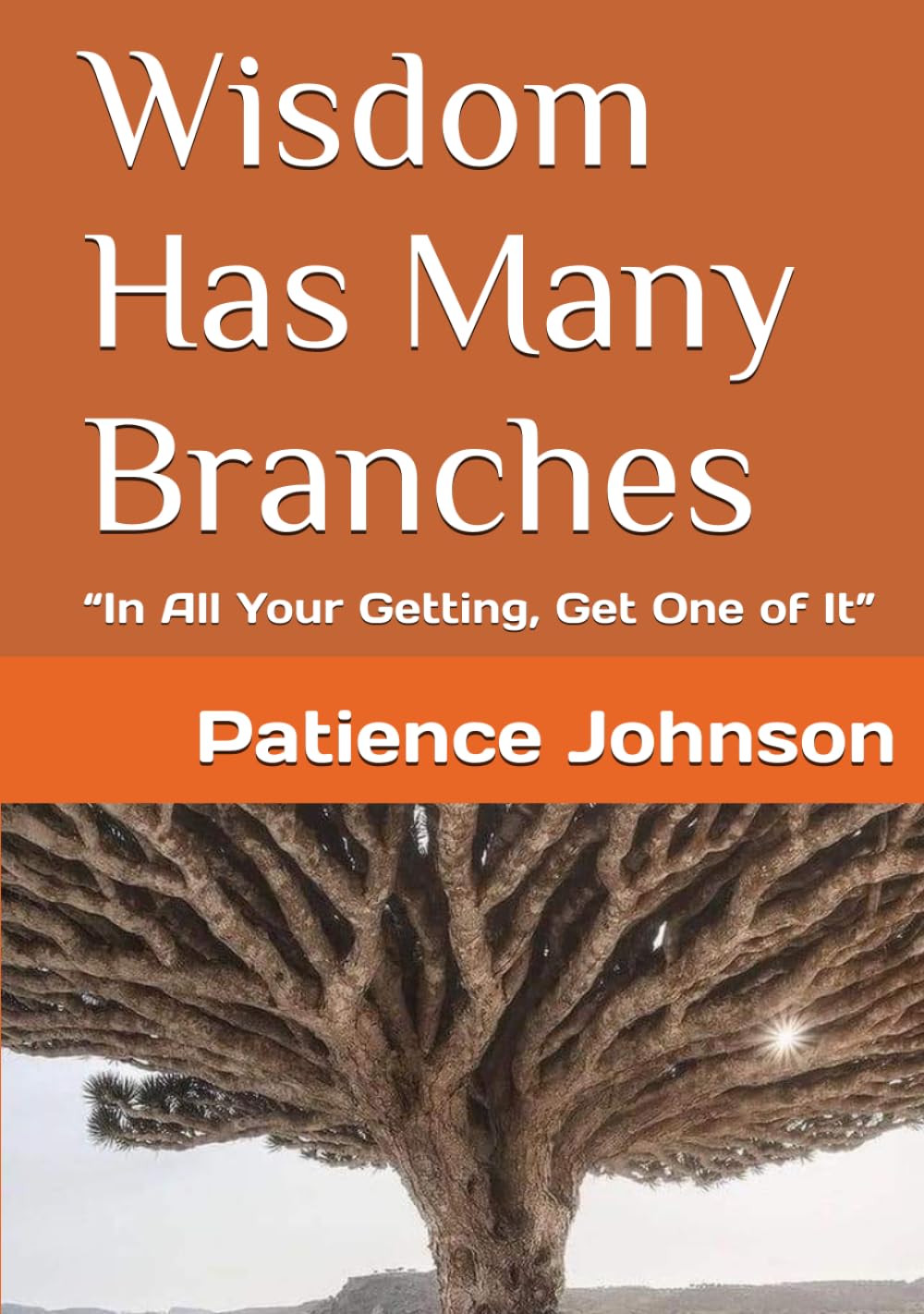 Wisdom Has Many Branches: “In All Your Getting, Get One of It” Book By Patience Johnson Hardcover