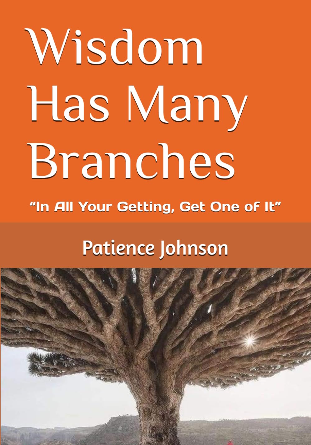 Wisdom Has Many Branches: “In All Your Getting, Get One of It” Book By Patience Johnson